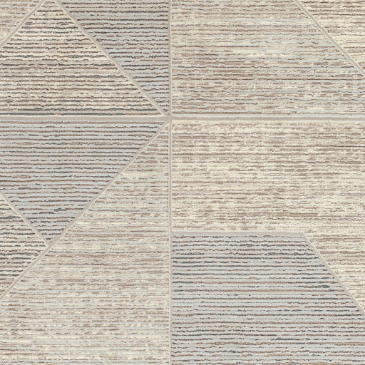 Surya Alder ALD-2310 Taupe Modern Machinemade Rug