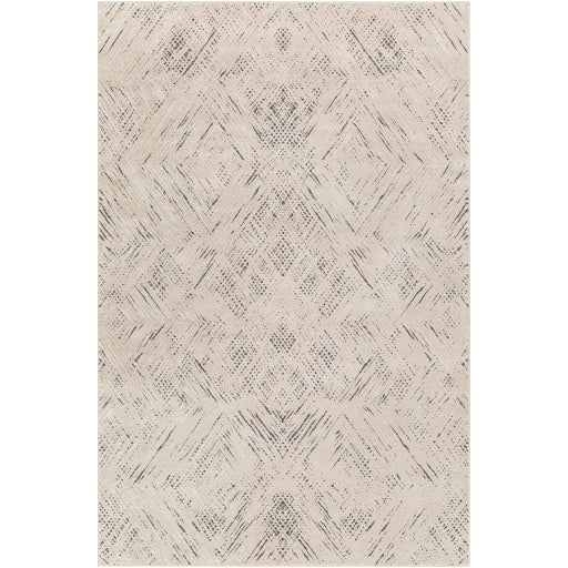 Surya Alder ALD-2313 Taupe Modern Machinemade Rug