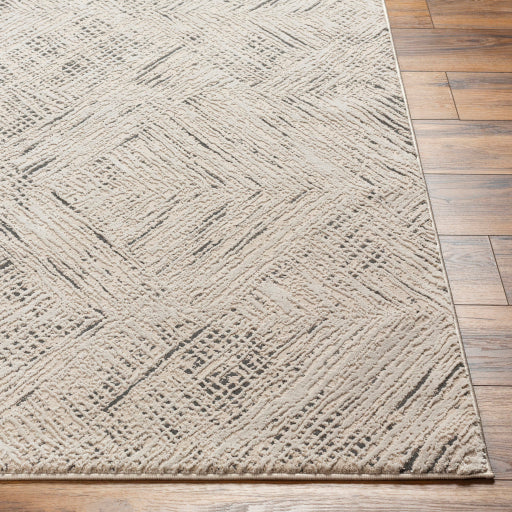 Surya Alder ALD-2313 Taupe Modern Machinemade Rug