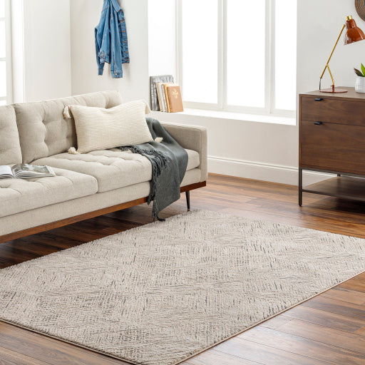 Surya Alder ALD-2313 Taupe Modern Machinemade Rug