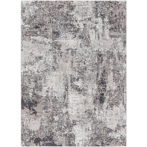 Surya Alder ALD-2319 Taupe Modern Machinemade Rug