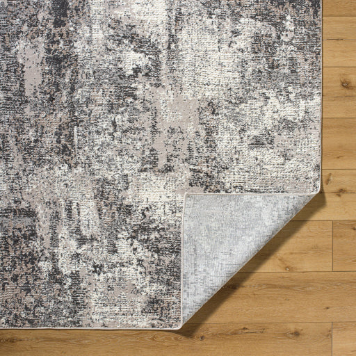 Surya Alder ALD-2319 Taupe Modern Machinemade Rug