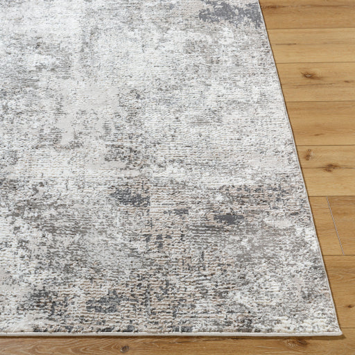 Surya Alder ALD-2319 Taupe Modern Machinemade Rug