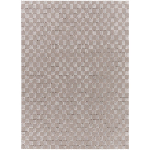 Surya Alder ALD-2321 Taupe Modern Machinemade Rug