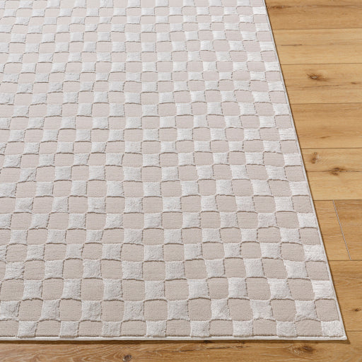 Surya Alder ALD-2321 Taupe Modern Machinemade Rug