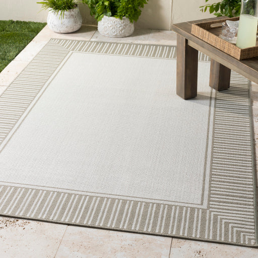 Surya Alfresco ALF-9681 Taupe Cottage Machinemade Rug