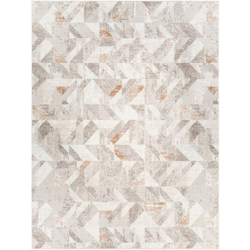 Surya Allegro ALG-2300 Ivory Modern Machinemade Rug