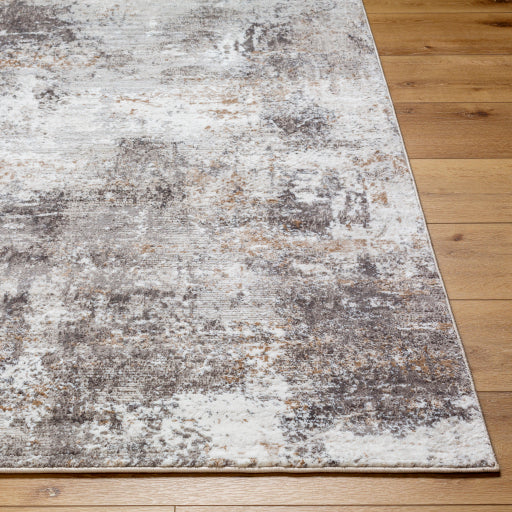 Surya Allegro ALG-2310 Ivory Modern Machinemade Rug