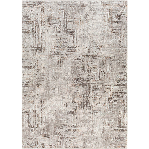 Surya Allegro ALG-2321 Ivory Modern Machinemade Rug