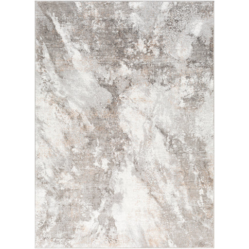 Surya Allegro ALG-2336 Ivory Modern Machinemade Rug