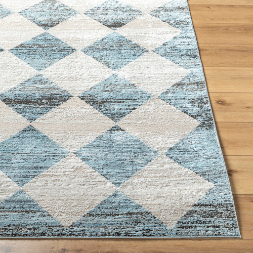 Surya Allegro ALG-2349 Blue Modern Machinemade Rug