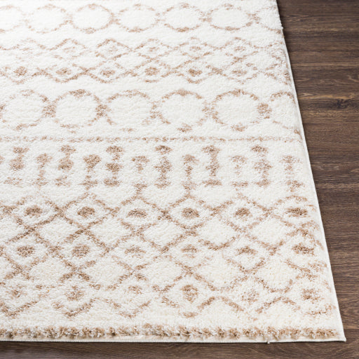 Surya Aliyah Shag ALH-2303 Tan Global Machinemade Rug