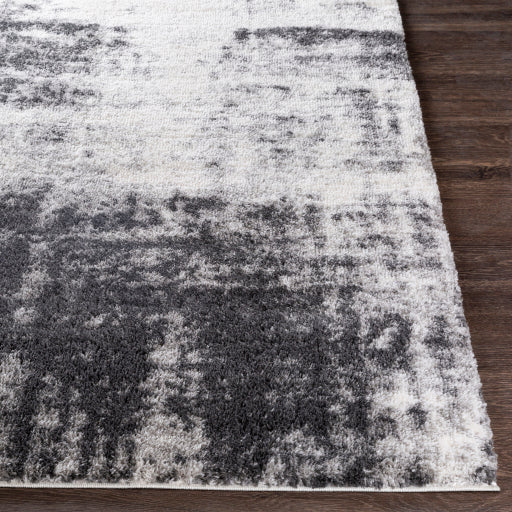 Surya Aliyah Shag ALH-2306 Light Gray Modern Machinemade Rug