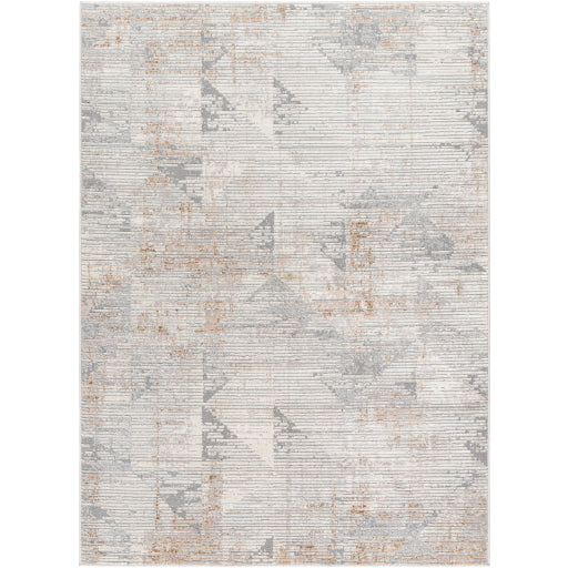 Surya Alamo ALO-2302 Gray Modern Machinemade Rug