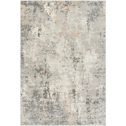 Surya Alamo ALO-2304 Gray Modern Machinemade Rug