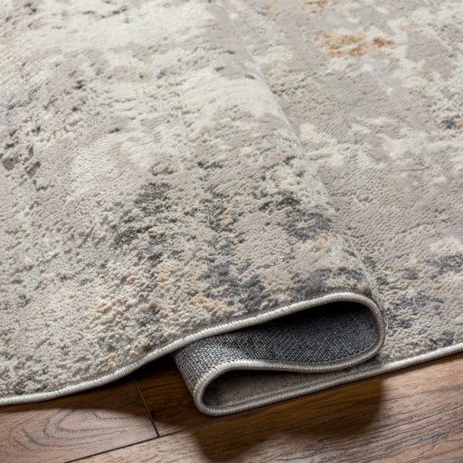 Surya Alamo ALO-2304 Gray Modern Machinemade Rug