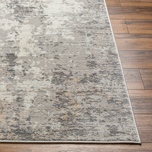 Surya Alamo ALO-2304 Gray Modern Machinemade Rug