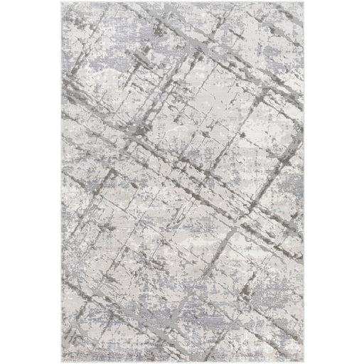 Surya Alamo ALO-2312 Gray Modern Machinemade Rug