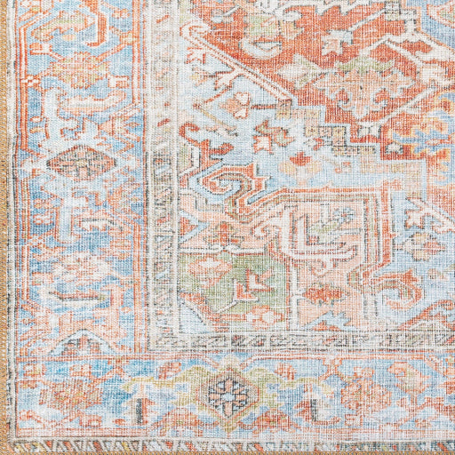 Surya Alanya ALY-2305 Brown Traditional Machinemade Rug