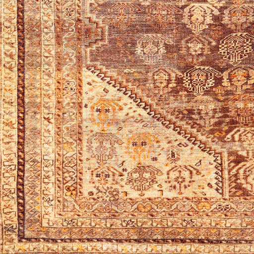 Surya Amelie AML-2333 Brown Traditional Machinemade Rug