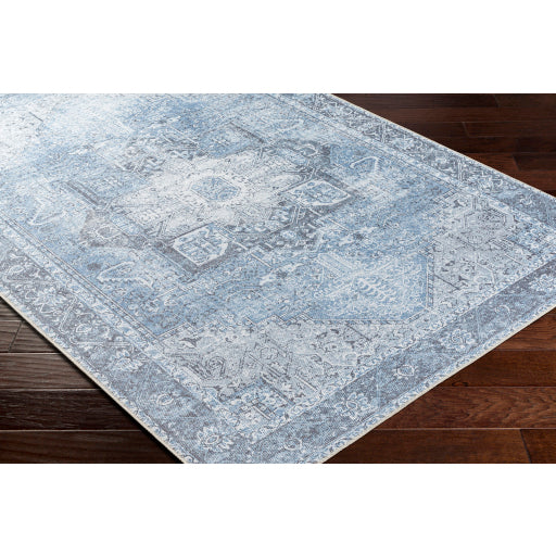 Surya Amelie AML-2358 Sky Blue Traditional Machinemade Rug