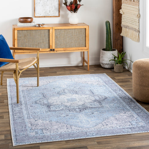 Surya Amelie AML-2358 Sky Blue Traditional Machinemade Rug