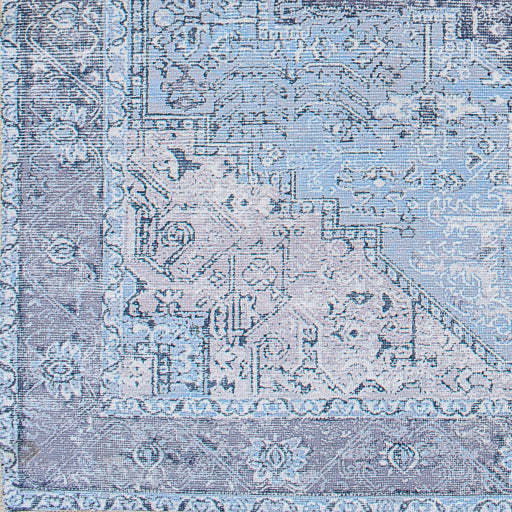 Surya Amelie AML-2358 Sky Blue Traditional Machinemade Rug