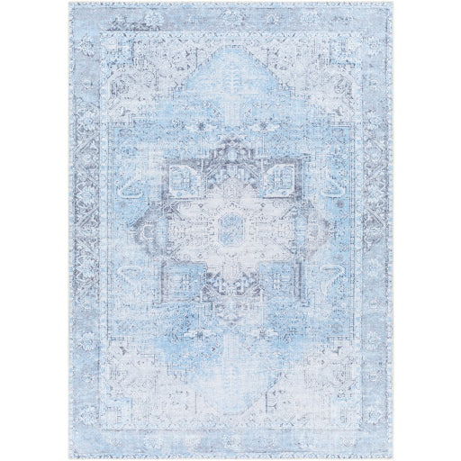 Surya Amelie AML-2362 Light Blue Traditional Machinemade Rug