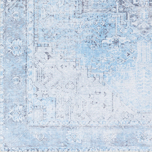 Surya Amelie AML-2362 Light Blue Traditional Machinemade Rug