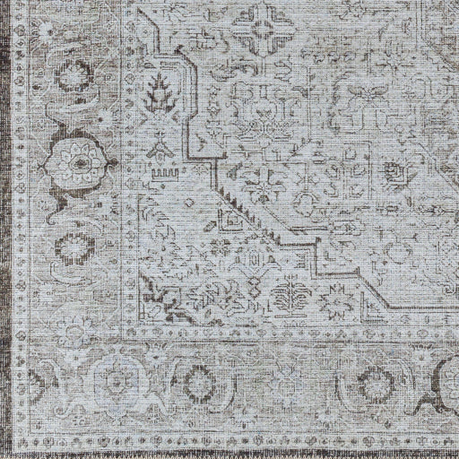 Surya Amelie AML-2368 Light Sage Traditional Machinemade Rug