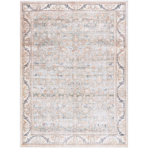 Surya Amelie AML-2398 Seafoam Traditional Machinemade Rug