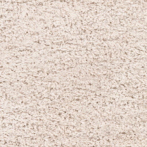 Surya Angora ANG-2301 Oatmeal Modern Machinemade Rug