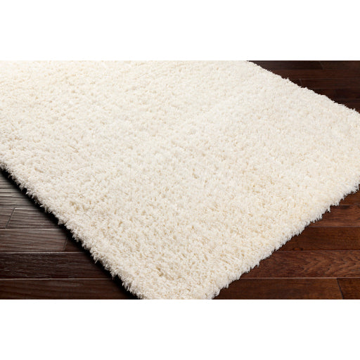 Surya Angora ANG-2304 Cream Modern Machinemade Rug