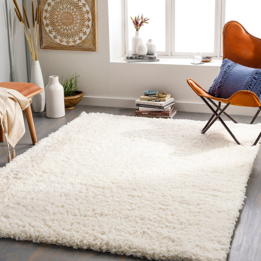 Surya Angora ANG-2304 Cream Modern Machinemade Rug