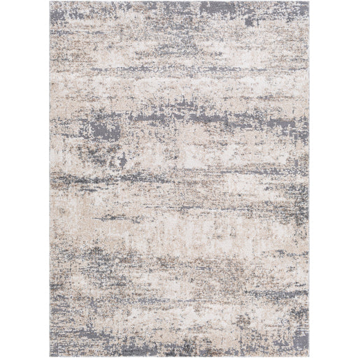 Surya Andorra ARD-2300 Charcoal Modern Machinemade Rug