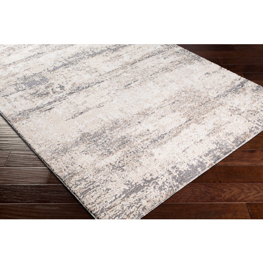 Surya Andorra ARD-2300 Charcoal Modern Machinemade Rug