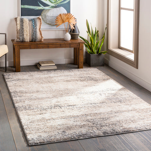 Surya Andorra ARD-2300 Charcoal Modern Machinemade Rug