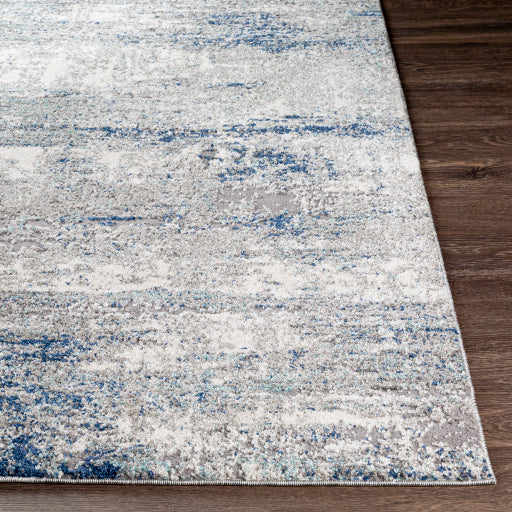 Surya Andorra ARD-2301 Charcoal Modern Machinemade Rug