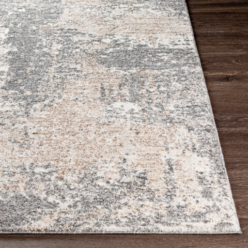 Surya Andorra ARD-2302 Charcoal Modern Machinemade Rug