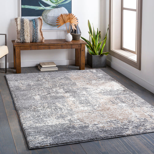 Surya Andorra ARD-2302 Charcoal Modern Machinemade Rug