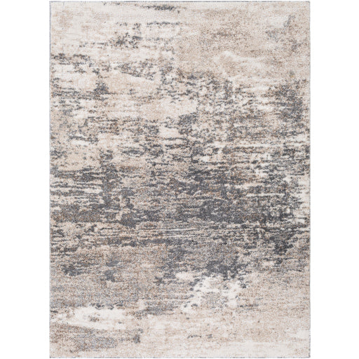 Surya Andorra ARD-2305 Charcoal Modern Machinemade Rug