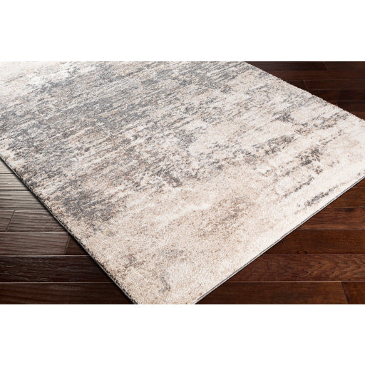 Surya Andorra ARD-2305 Charcoal Modern Machinemade Rug