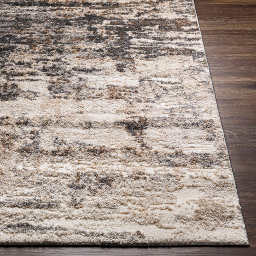 Surya Andorra ARD-2305 Charcoal Modern Machinemade Rug