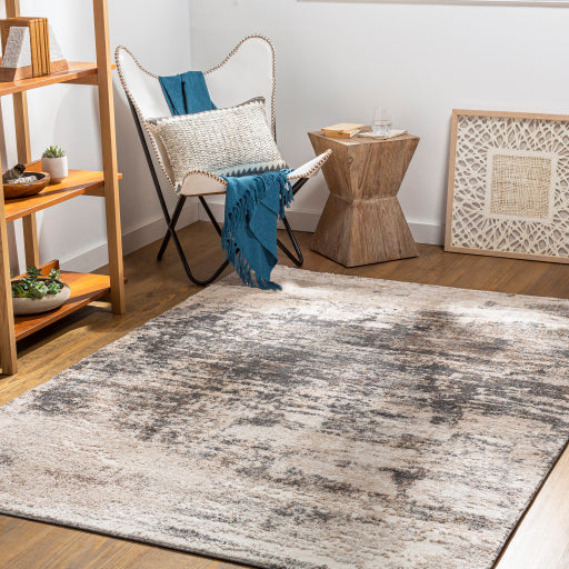 Surya Andorra ARD-2305 Charcoal Modern Machinemade Rug