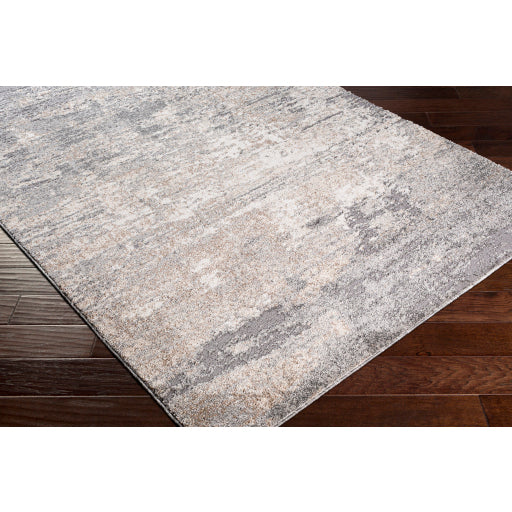 Surya Andorra ARD-2306 Gray Modern Machinemade Rug