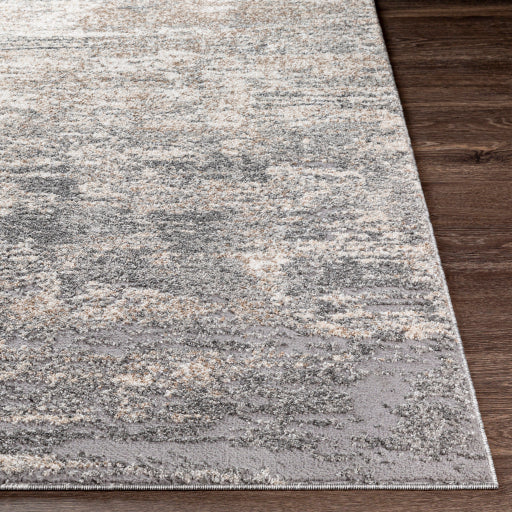 Surya Andorra ARD-2306 Gray Modern Machinemade Rug