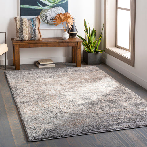 Surya Andorra ARD-2306 Gray Modern Machinemade Rug