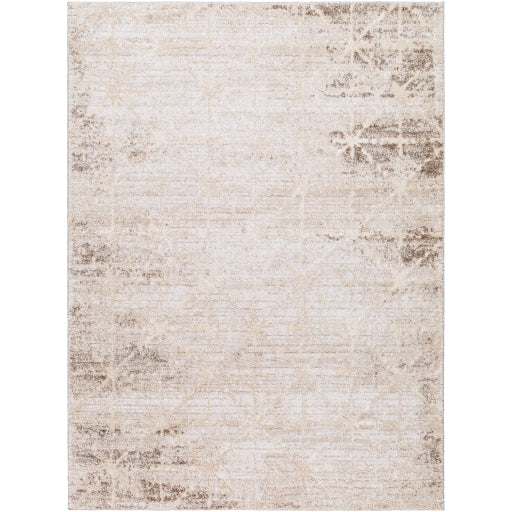 Surya Andorra Plus ARP-2306  Cottage Machinemade Rug