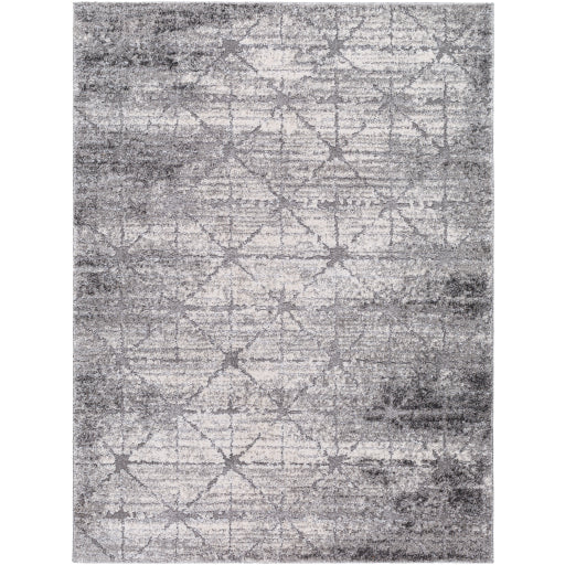 Surya Andorra Plus ARP-2307  Cottage Machinemade Rug