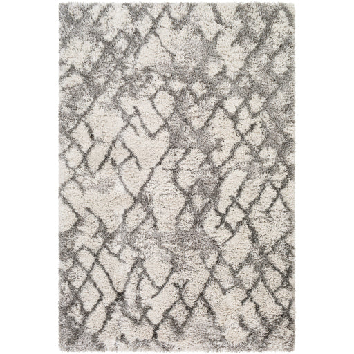 Surya Alta Shag ASG-2300 Off-White Modern Machinemade Rug